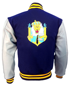 Chaqueta de béisbol formal de algodón con amoníaco para hombre, chaqueta escolar de colores personalizada con mangas de Cuero e impresión de logotipo, venta al por mayor - Product Image 5