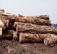 Bûches rondes de bois Tali et Doussie de qualité export pour l'exportation