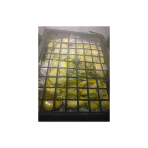 Rebanadas de aguacate congeladas a granel empaquetadas por proveedores vietnamitas utilizando tecnología moderna para preservar el sabor y la nutrición ideal - Product Image 1