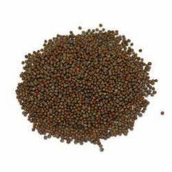 Alimento Flotante para Peces de Alta Calidad con Proteínas para Tilapia, Origen Francia, 24 Meses de Duración - Product Image 4