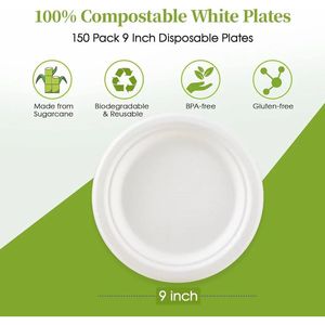 9 Inch Round Bagasse <b>Disposable</b> <b>Plate</b> Eco-Friendly Biodegradable Plain White for Takeaway for Restaurants - Product Image 2