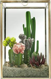 Armoire en verre transparent avec cadre en laiton vintage, boîte à bijoux artisanale pour le rangement à domicile, taille personnalisable, qualité supérieure - Product Image 2