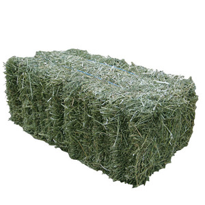 Vente en gros de foin de luzerne de qualité supérieure pour l'alimentation des animaux foin de luzerne foin de Timothy prix discount meilleure vente - Product Image 5