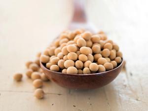 Chất lượng cao protein nội dung Đậu Nành Đậu bữa ăn được sử dụng như thức ăn chăn nuôi bán buôn Nhà cung cấp và nhà sản xuất từ Ấn Độ ở mức giá thấp nhất - Product Image 5