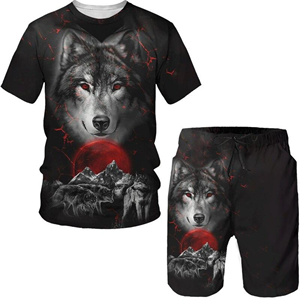 Summer 3D Wolf Printed Men's T-Shirt/Suit Hip Hop O-Neck Short Sleeve Tees & Shorts Two Piece Set Cool Animal Sportswear Tracksuit - Product Image 1