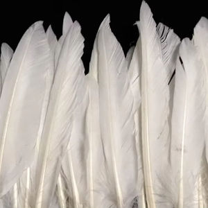 Plumes de canard teintes de luxe, élégantes et de qualité supérieure pour l'art, les costumes et la décoration intérieure - Product Image 1