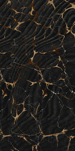 Carrelage en granit indien, design moderne, carrelage de décoration intérieure indien, fabrication en Inde pour le hall d'hôtel. - Product Image 4