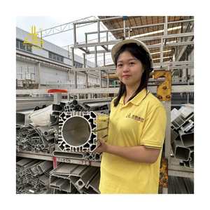 Hiệu suất cao <span class=keywords><strong>1050</strong></span> 1070 6061 6063 Anodized đùn tản nhiệt Viễn Thông trạm cơ sở tản nhiệt nhôm hồ sơ - Product Image 1