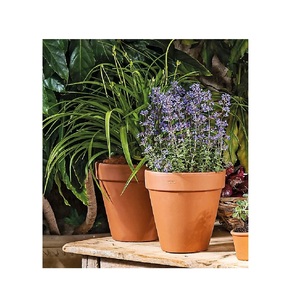 Macetas y jardineras de arcilla de diseño cuadrado de terracota bohemio multicolor al por mayor - Product Image 6