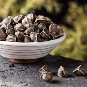 Graines de Moringa de la meilleure qualité à prix de gros, graines d'Oleifera naturelles exportées du Vietnam - Product Image 2