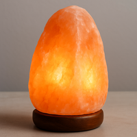 Lampe en sel de roche naturel de l'Himalaya, base en bois, sculptée à la main, style Feng Shui, portable, pour la décoration de la maison et le bien-être
