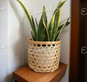 Vente en gros jardinière en rotin tissé à la main paniers pour pots de fleurs décoration de la maison paniers en osier pots pour plantes d'intérieur décoration de table - Product Image 3