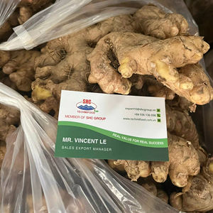 Jengibre Fresco de Vietnam, Exportador Agrícola Confiable para Distribuidores de Alimentos Globales, Pedidos en Contenedores - Product Image 1