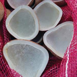 Premium AGP Copra KP1 Indonesian Edible White Copra Grade a High Oil Content Dried <b>Coconut</b> <b>Cup</b> Wholesale - Product Image 3