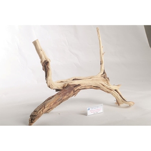 Top Natural Driftwood Aquarium Decoration Irregular Shape Durable Fish <b>Tank</b> Ornament Made in Vietnam - Product Image 1