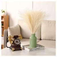 Lot de 6 Plumes de Pampa Artificielles Écologiques Longue Durée, Décoration Florale pour Vase Intérieur/Extérieur, Décoration Maison ABK - Meilleures Ventes
