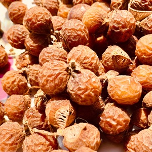 Fourniture en gros de noix de savon séchées de meilleure qualité de graines de noix de savon sec soapberry biologique à vendre au prix le moins cher - Product Image 1