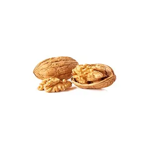 Supplier Walnuts For Sale In Cheap Price Brazil Organic walnuts in shell and Organic walnuts kernel