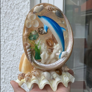 Coquillages décoratifs de qualité supérieure |   Couleurs naturelles et aspect artistique |   Décoration côtière en gros - Product Image 5