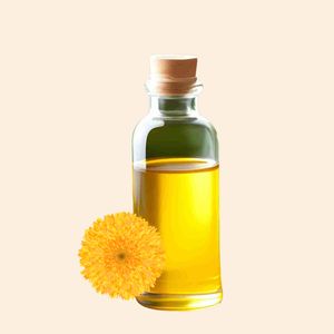 Extracto líquido de borraja de grado cosmético Aceite esencial soluble Suministro a granel con envío gratis - Product Image 1