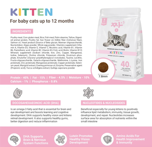 อาหารแมวสำหรับลูกแมว1กก. อาหารแห้งสำหรับลูกแมวผสมโปรตีนสูงเป็นตัวเลือกที่เหมาะสำหรับสุขภาพผิวขายส่งจาก JJANGx3 - Product Image 2