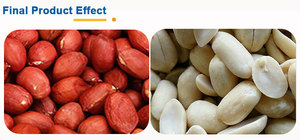 Precio barato, equipo de eliminación automática Industrial, pelador de cacahuetes y avellanas, cacahuetes tostados, piel roja, máquina peladora de anacardos - Product Image 4