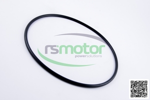 Joint torique OEM pour RS-01151135 MWM pour moteur à gaz naturel Pièces de machines neuves - Product Image 2