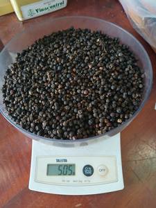 Poivre noir audacieux de haute qualité 5mm origine du Vietnam séché et frit nettoyé à la machine à bas prix Contact + 84398885178 - Product Image 5