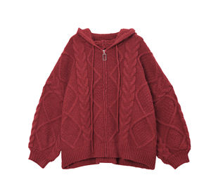 Sweat à capuche décontracté ample pour femme, 100% coton, nouvelle collection automne-hiver, couleur unie, fermeture éclair, logo personnalisable sur le devant - Product Image 2