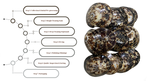 Coquillages Artisanaux Polis: Formes et tailles uniques pour les efforts créatifs. - Product Image 4