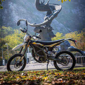 Última llegada: Sur Black Light Bee original, completamente nuevo y disponible para envío. - Product Image 1