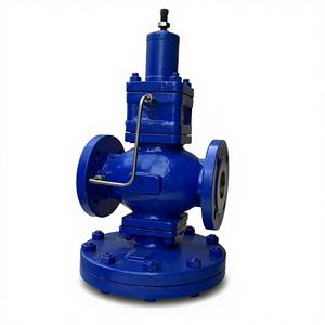 Vanne de régulation de pression manuelle DP27 en acier moulé WCB, type diaphragme piloté, pour vapeur - Product Image 2