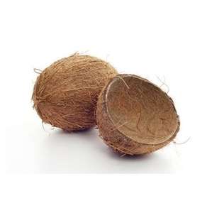 MINA +84 325 608 680/ Cáscara de Coco con Precio Competitivo - Product Image 6