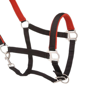 Cabestro de cuerda de caballo de calidad premium de nuevo diseño, diseño de banda personalizado, cabestro de caballo de cuerda hecho a mano a la venta - Product Image 5