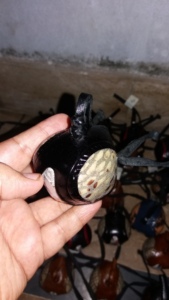 Capucha de cetrería Capucha de estilo holandés con tirantes de nailon Todos los tamaños Tait Disponibles Capuchas de ojo de serpiente - Product Image 3