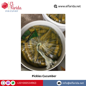 Fournisseur en gros de quantité de qualité supérieure meilleures ventes d'assaisonnements et de condiments cornichons concombre d'egypte - Product Image 6