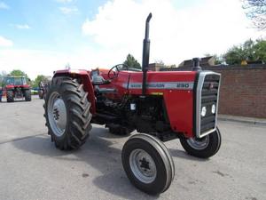 Tractor de Ruedas Massey Ferguson 4WD 290 de Calidad, Motor de 65HP, Caja de Cambios Disponible para la Venta con Accesorios - Product Image 6