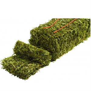 Heno seco Alfafa Timothy Grass y Rhodes Grass Hay para alimentación de animales Empacado Cerdo Ganado Caballo Alimentación Varios estilos disponibles - Product Image 1