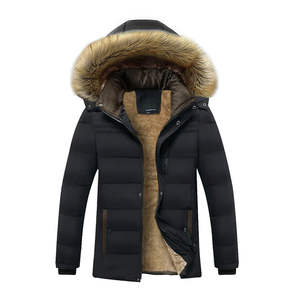 Veste matelassée unie pour homme, décontractée, à capuche, col montant, imperméable, écologique, style urbain, hiver - Product Image 1