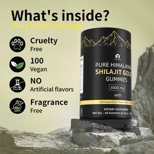 Gomitas de Shilajit Doradas de Marca Privada al por Mayor OEM con Ácido Fúlvico y Múltiples Minerales para Energía y Apoyo Inmunológico - Product Image 5