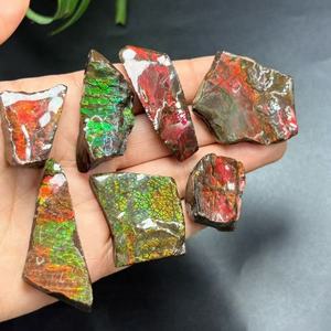 Fósil de Amonita Canadiense Real al por Mayor, Ammolita Cruda Colorida, Espécimen de Piedra Preciosa, Fósil de Vida Marina Antigua Natural de Canadá - Product Image 1