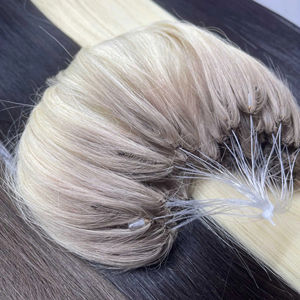 टॉपलेस लोकप्रिय थोक डबल खींचा असली रूसी H6 6d पंख बाल नए डिजाइन एच टिप्स सैलून के लिए बाल विस्तार - Product Image 5
