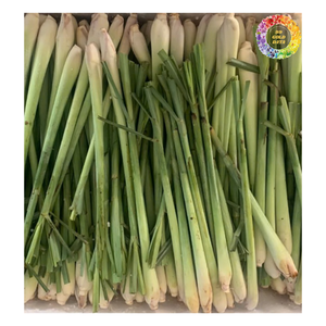 Épices tropicales congelées Citronnelle: Citronnelle hachée entière congelée IQF de vente chaude, bâton de citronnelle congelé pour les ventes - Product Image 2