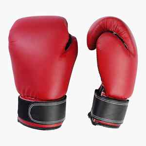 Gants de boxe professionnels de 12 oz pour MMA, Muay Thai, entraînement de combat, gants de frappe disponibles à prix avantageux - Product Image 4
