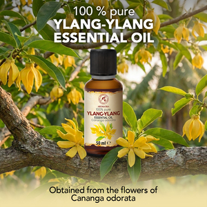 Aromatika Huile Essentielle d'Ylang-Ylang 100% Pure 50ml Distillée à la Vapeur Aromathérapie Naturelle Arôme Floral Exotique Sucré - Product Image 1