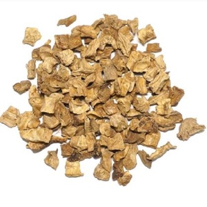 Poudre de chicorée de haute qualité | Extrait naturel de qualité alimentaire | Exportateur indien - Product Image 5