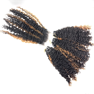 Meilleure vente de bonne qualité Super Double dessiné birman bouclé couleur 3 faisceaux avec 1 fermeture 6x6 ensemble pour faire des perruques - Product Image 2