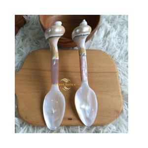 ช้อนเปลือกหอยตกแต่ง ทำจากเปลือกหอยธรรมชาติ สำหรับใช้ในครัวและบ้าน - Product Image 5