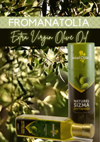 Huile de fruit Huile d'olive extra vierge pressée à froid de haute qualité Bouteille en verre 1 Lt non filtrée Meilleur liquide de marque privée d'Anatolie