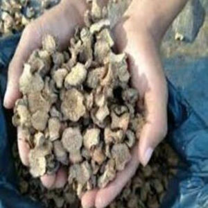 Nampu/homalomena occulta cao cấp Nông nghiệp sản phẩm-xuất khẩu chất lượng các loại thảo mộc cho gió khối hội chứng điều trị <span class=keywords><strong>2</strong></span>-năm Thời hạn sử dụng - Product Image 2